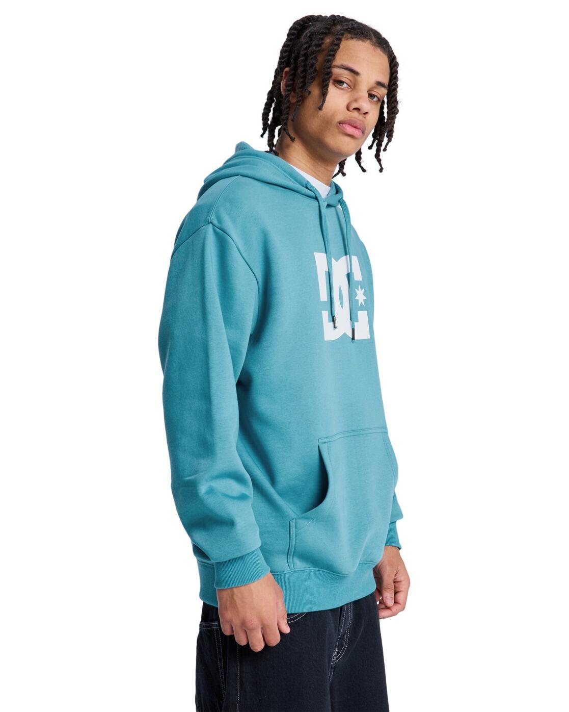 Hoodie DC STAR Blau Heren 4/4