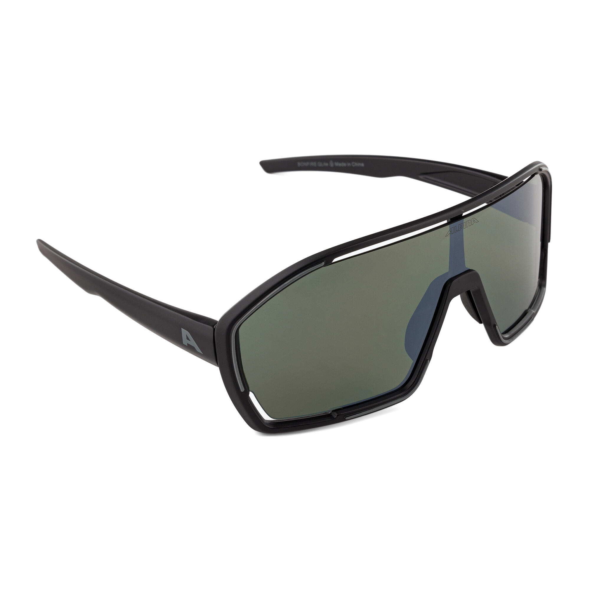 Lunettes de sport Olympic Sportswear Alpina Bonfire Q-Lite Noir 6/6