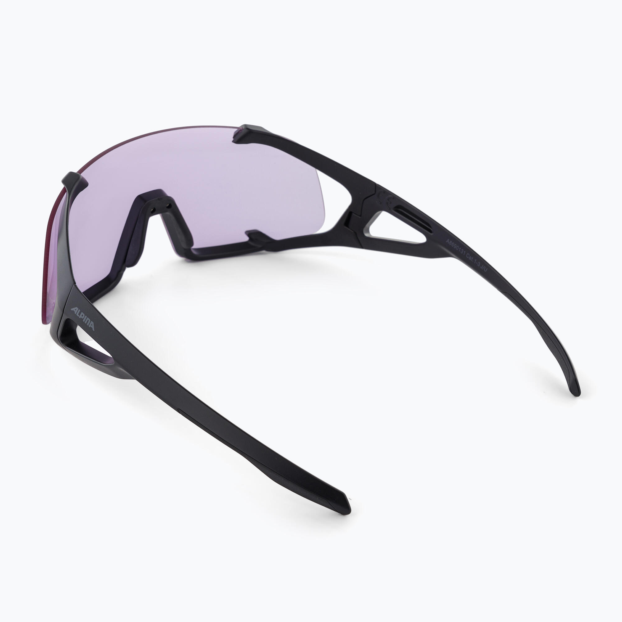 Gafas de sol Alpina Hawkeye Q-Lite V 2/7