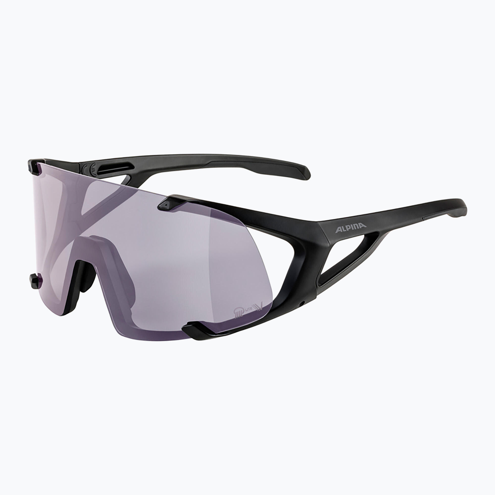 Gafas de sol Alpina Hawkeye Q-Lite V 5/7
