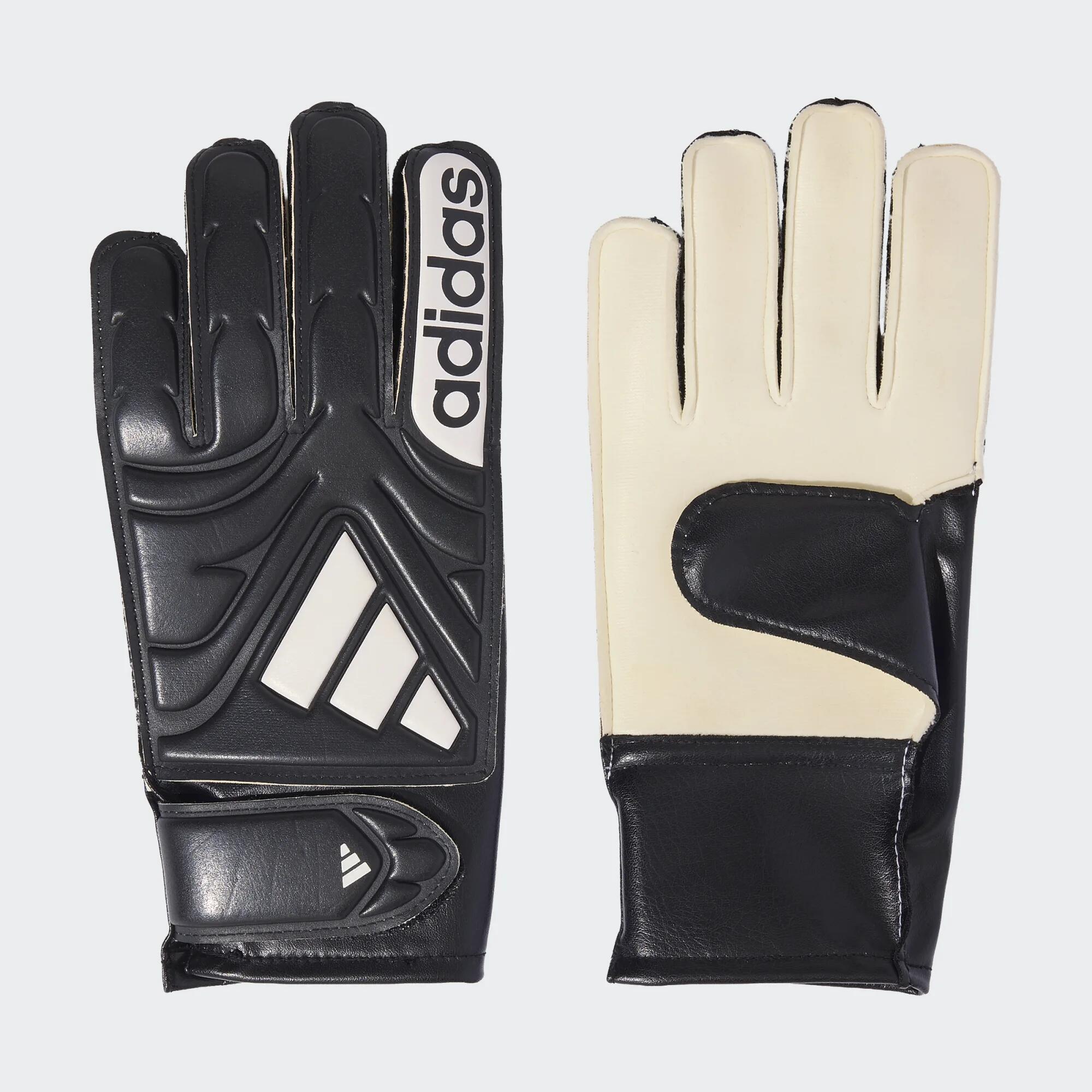 ADIDAS picture