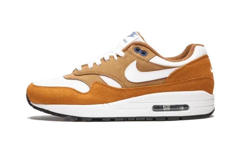 Nike Air Max 1 Curry (2018) 1/4