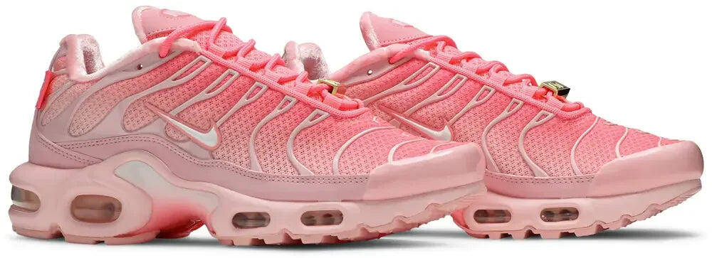 Nike Air Max Plus City Special ATL (W) 5/5