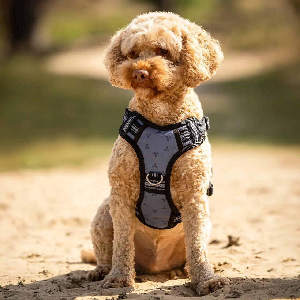 Harnais pour chien QHP 3/4