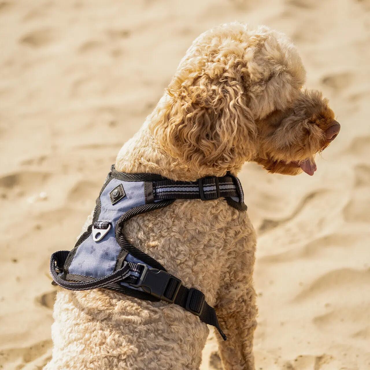 Harnais pour chien QHP 4/4
