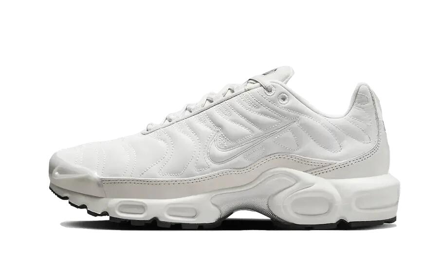 Nike Air Max Plus Reflective Platinum (W) 1/4