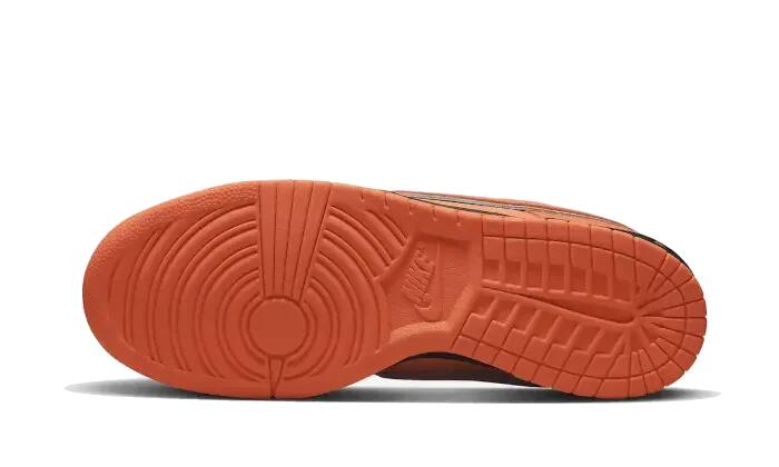 Nike SB Dunk Low Concepts Orange Lobster (Special Box) 3/3