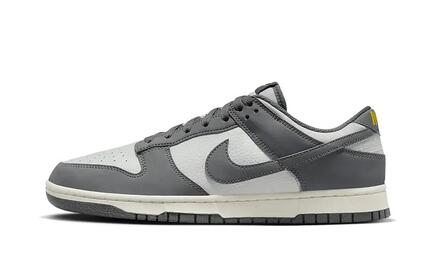 Nike Dunk Low Next Nature Iron Grey Lightning