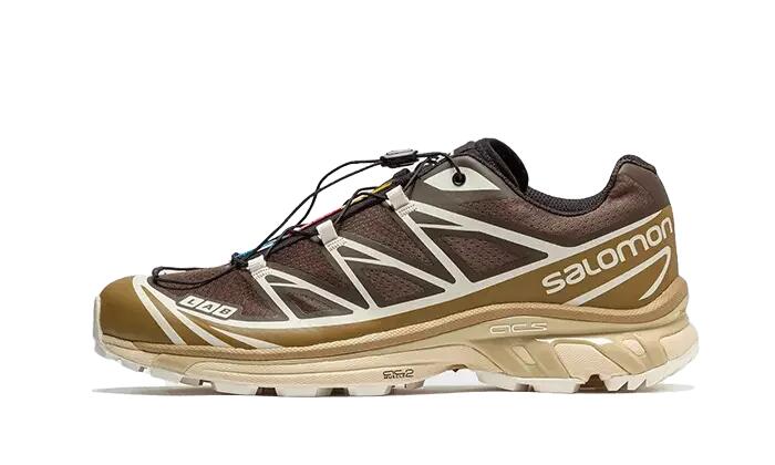 SALOMON picture