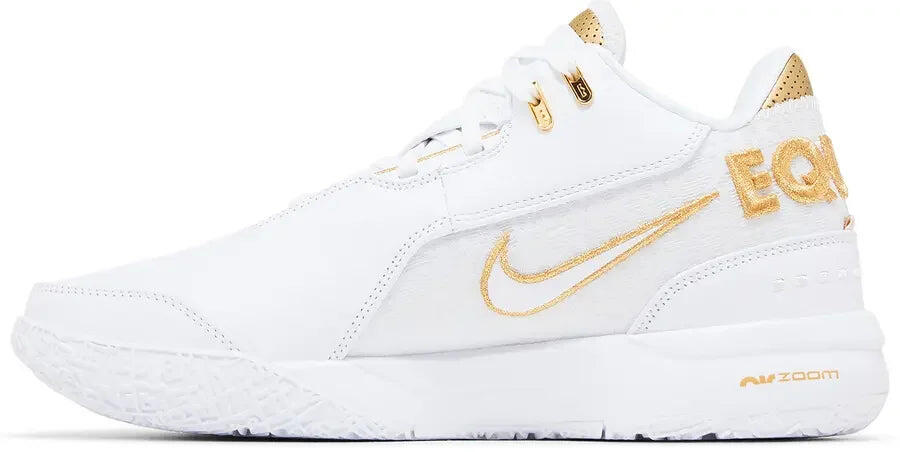 Nike Zoom LeBron NXXT Gen AMPD Equity 2/5