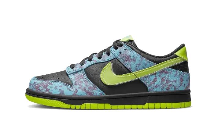 Dunk Low Acid Wash 1/3
