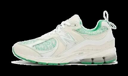 New Balance 2002R GANNI Turtledove