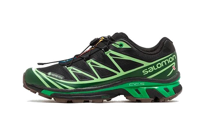 SALOMON picture