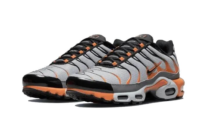 Nike Air Max Plus Grau Orange - Herrenschuhe 2/3
