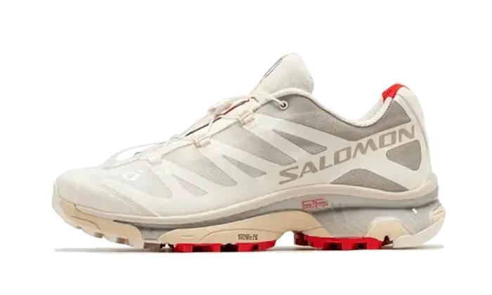 SALOMON picture