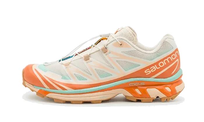 SALOMON picture