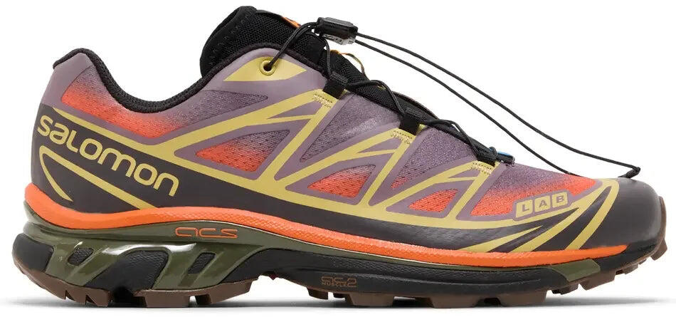 SALOMON picture