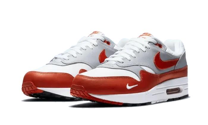 Air Max 1 Martian Sunrise 2/3