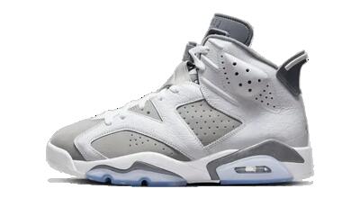 Schoenen - basketbal - air jordan 6 - cool grey