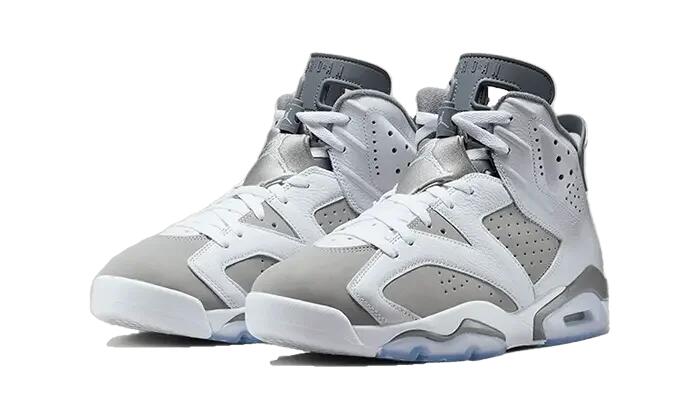 Jordan 6 Retro Cool Grey 2/2