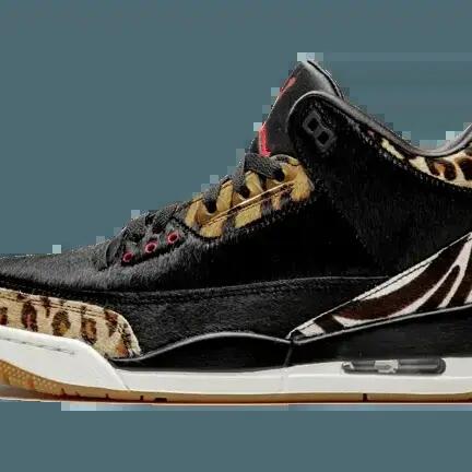 Jordan 3 Retro SE Animal Instinct