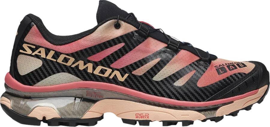 SALOMON picture