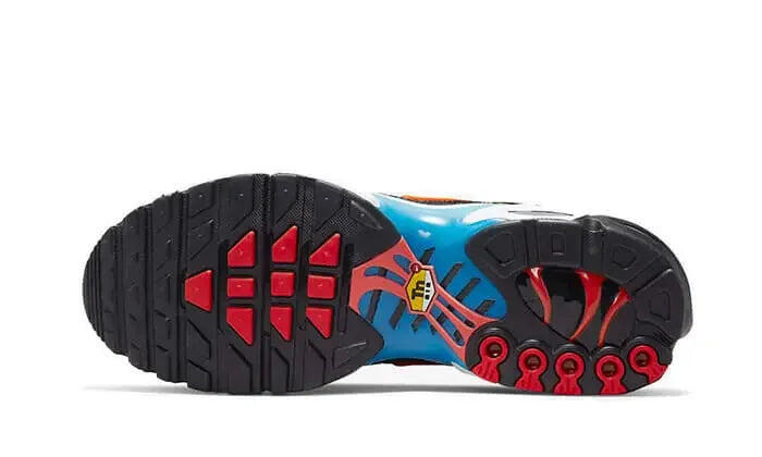 Air Max Plus Brixton 3/3