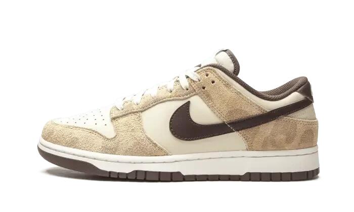 NIKE picture