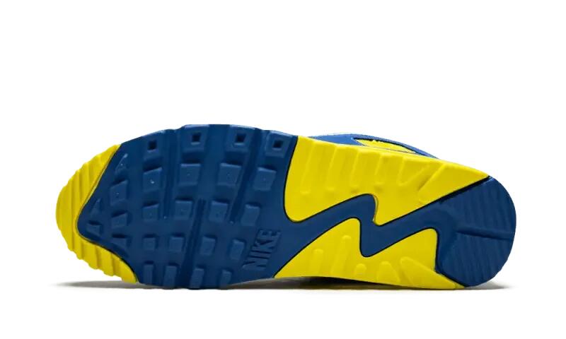 Nike Air Max 90 Viotech 4/4
