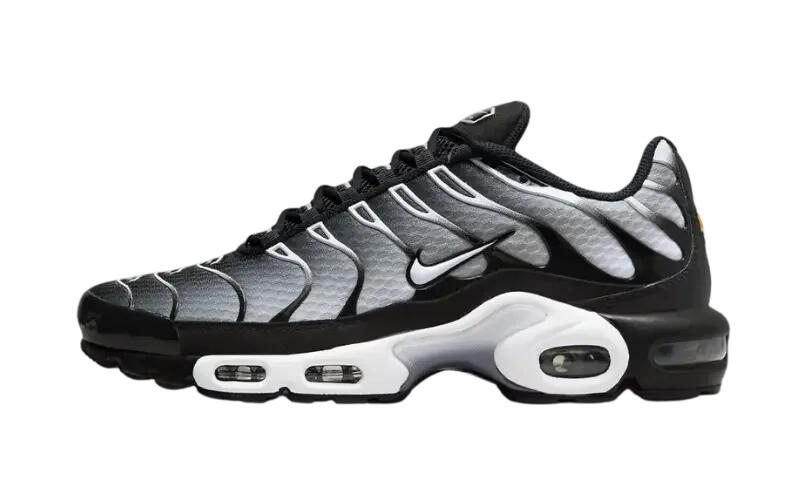 Nike Air Max Plus Black Metallic Silver 1/1