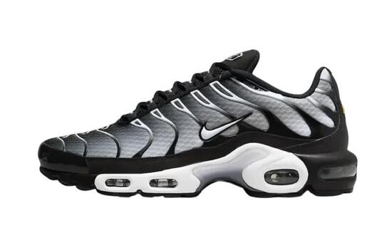 Nike Air Max Plus Black Metallic Silver