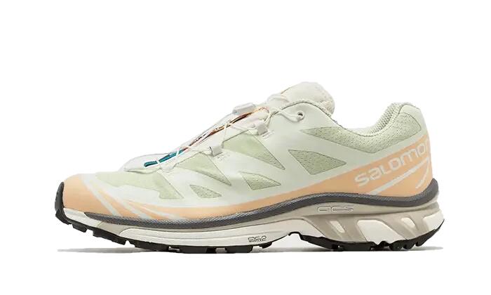 Salomon XT-6 Aloe Wash Feather Grey 1/3