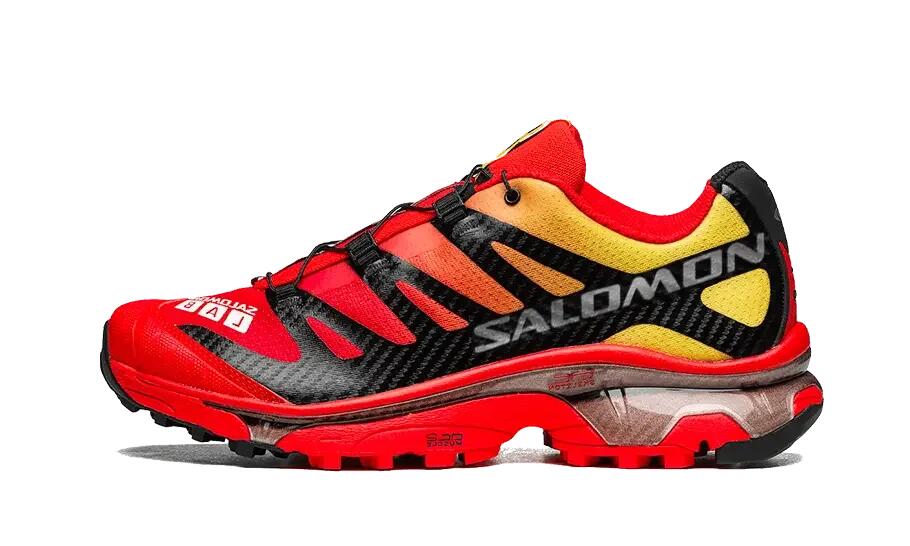 SALOMON picture
