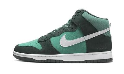 Schoenen - dunk high retro se - hoog