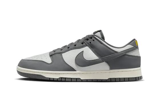 Nike Dunk Low Next Nature Iron Grey Lightning
