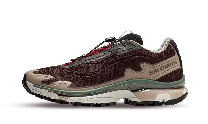 SALOMON picture