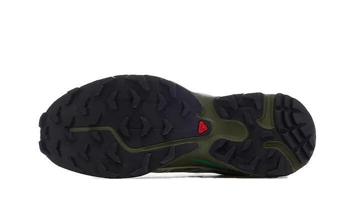Salomon XT-6 Dried Herb 3/3