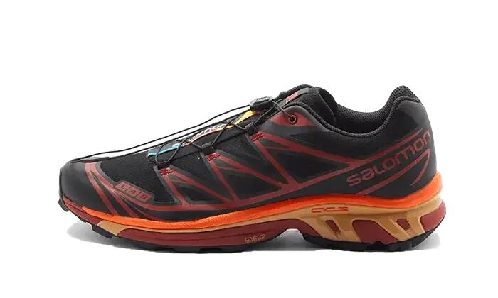 SALOMON picture