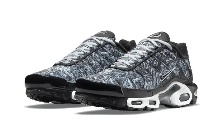 Nike Air Max Plus Dark Smoke Grey 2/3