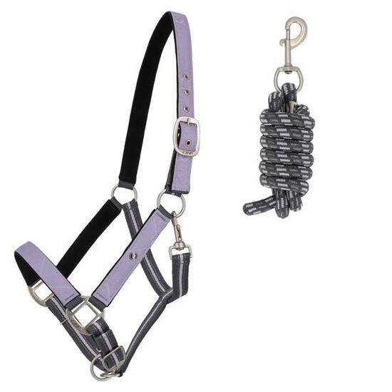 Ensemble licol et longe pour cheval QHP