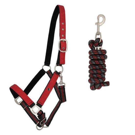 Ensemble licol et longe pour cheval QHP