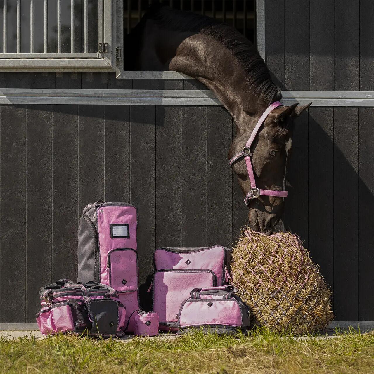 Ensemble licol et longe pour cheval QHP 3/3
