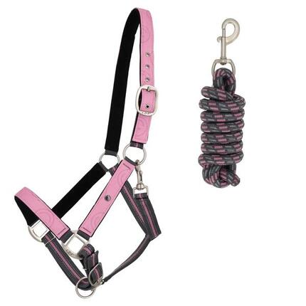 Ensemble licol et longe pour cheval QHP