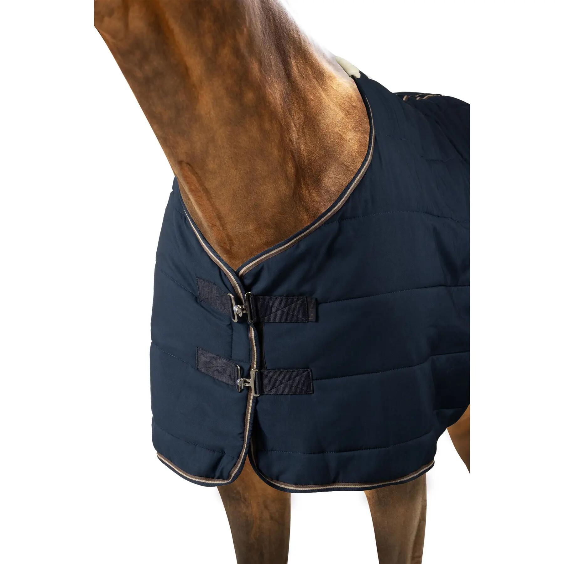 Hobby Horse LeMieux Dream