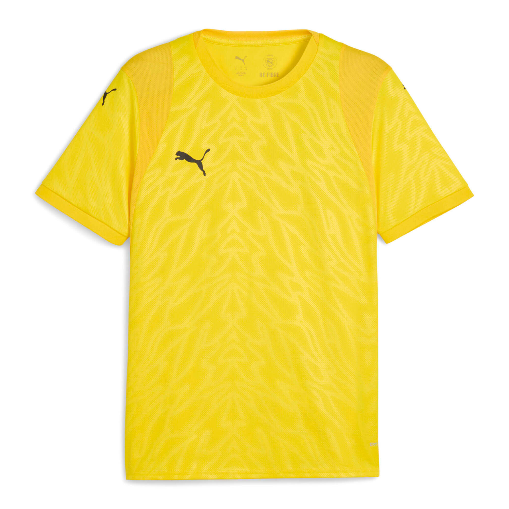 PUMA picture