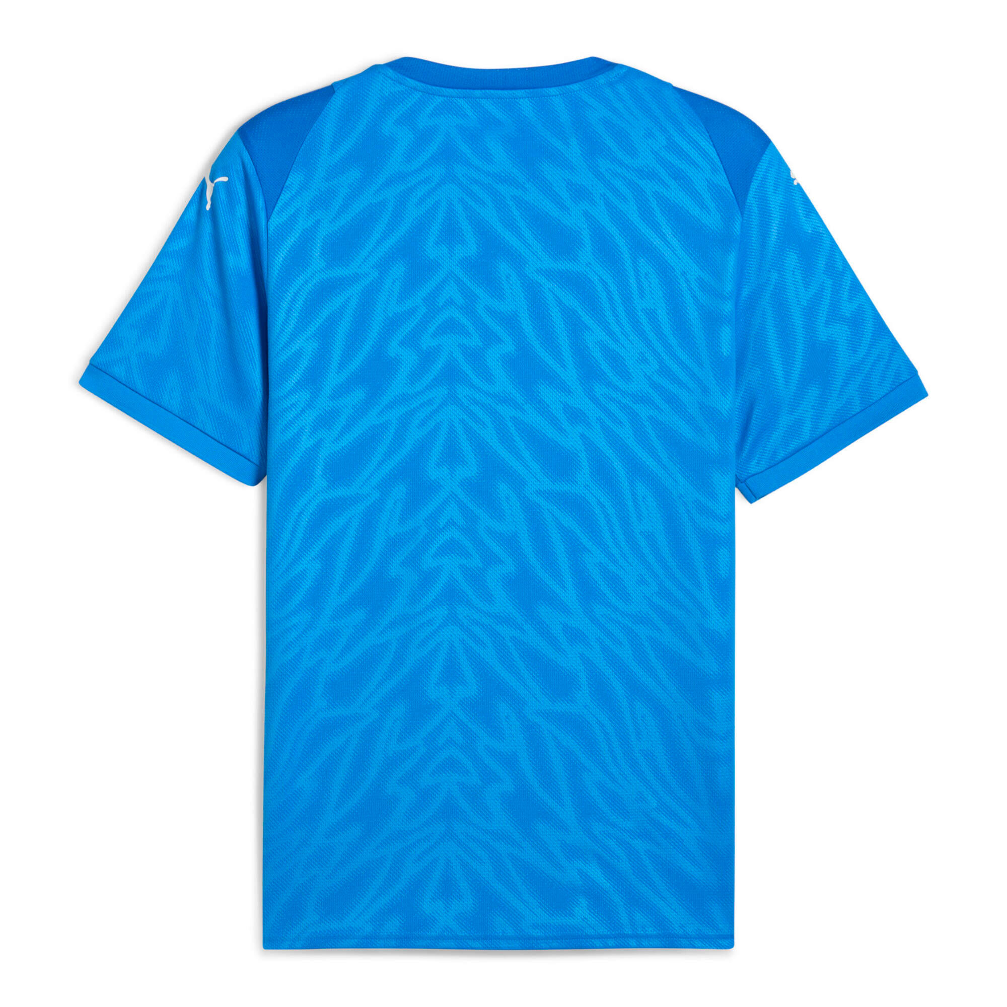 Puma Herren Trikot teamCUP Jersey 706272 2/2