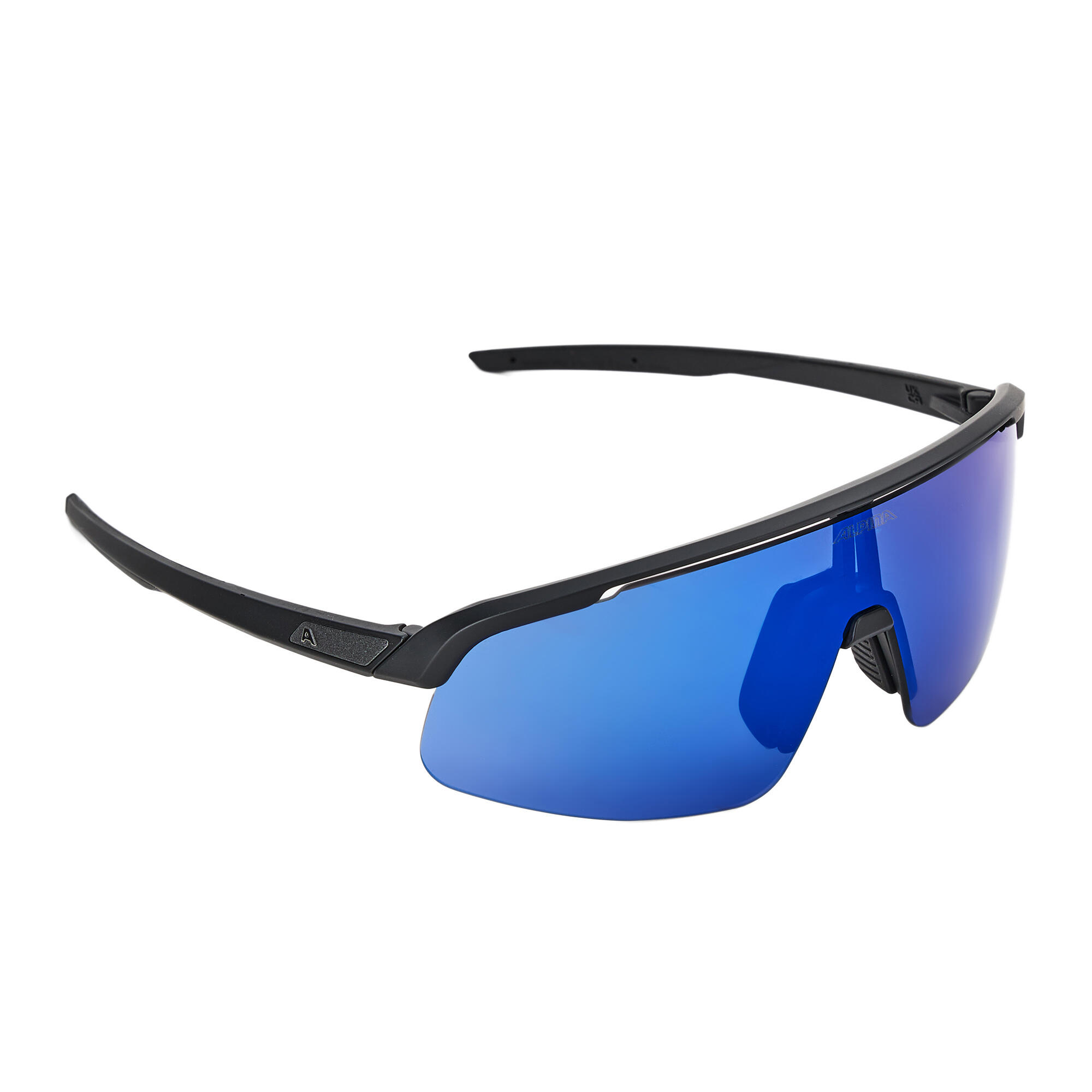 Lunettes de soleil Alpina Turbo Pro S Q-Lite 6/6