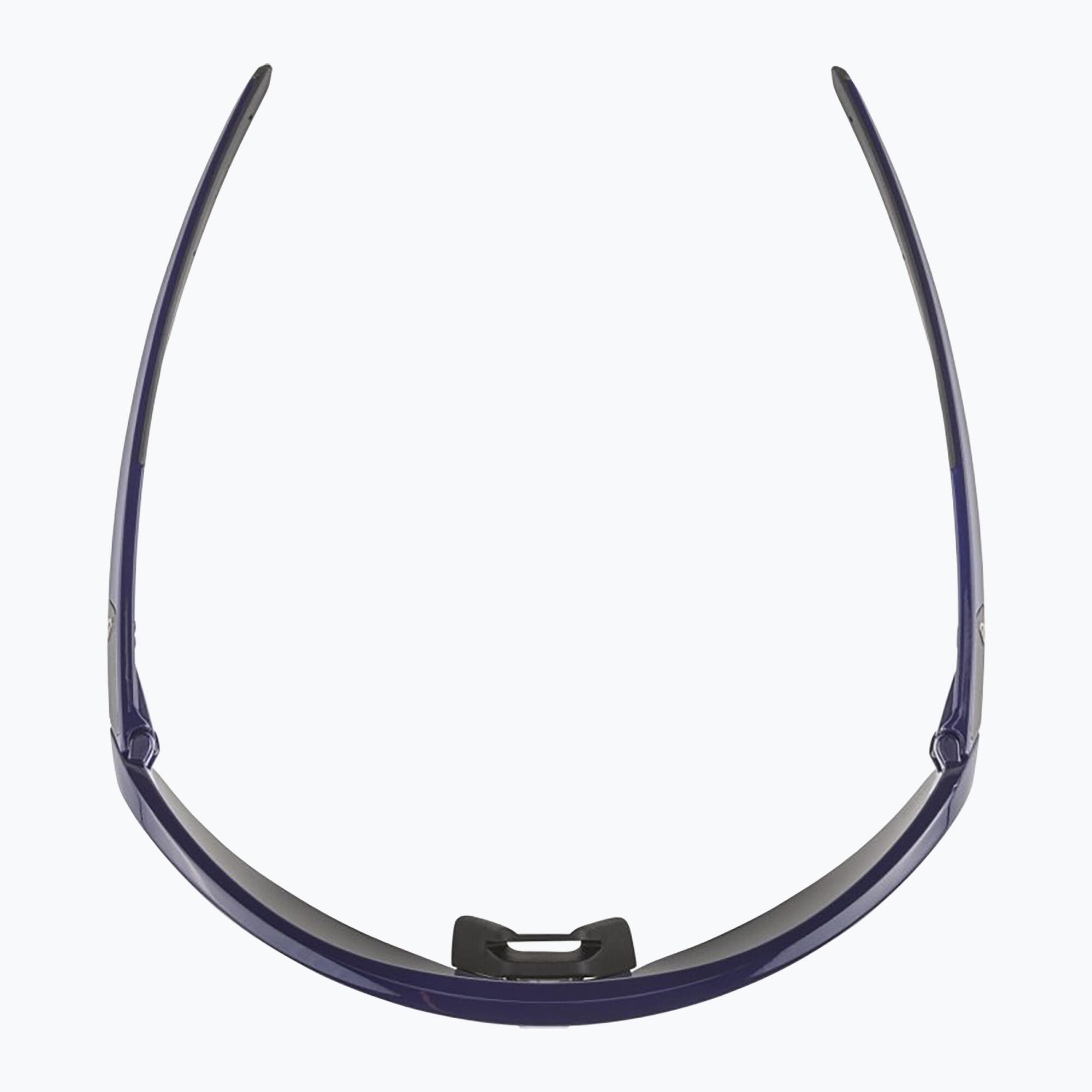 Alpina Turbo Pro Q-Lite Sonnenbrille 5/6