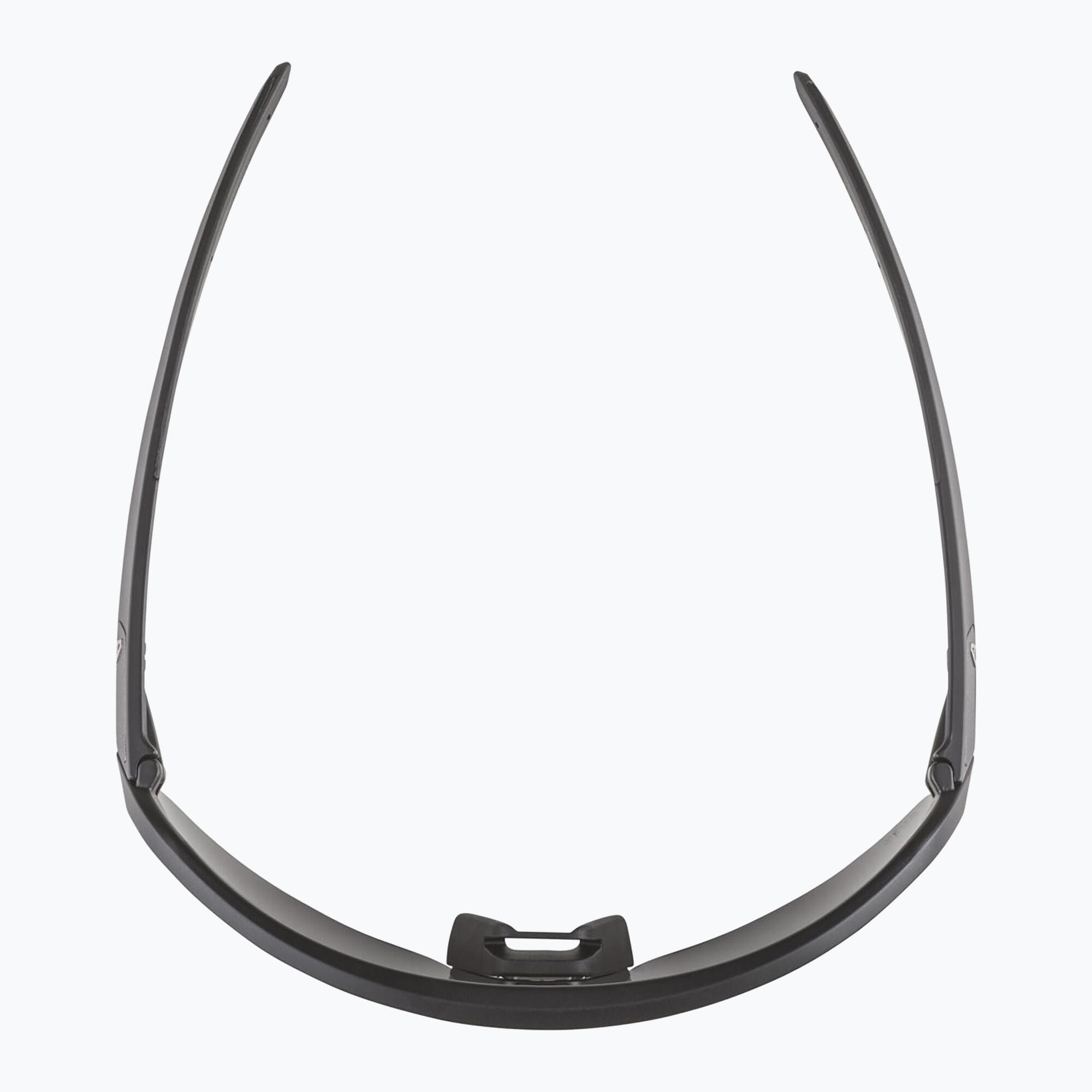 Lunettes de soleil Alpina Turbo Pro S Q-Lite 5/6