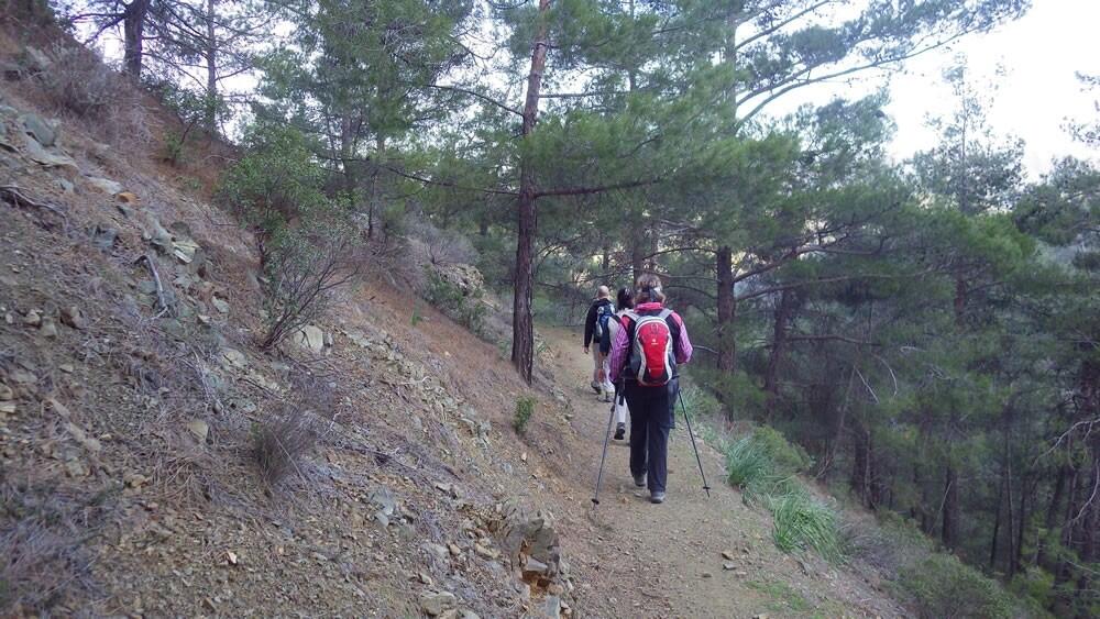 Circuit autonome Troodos suprême 1/1